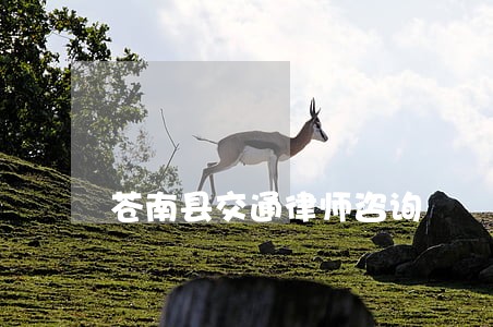 苍南县交通律师咨询 苍南县交通律师咨询