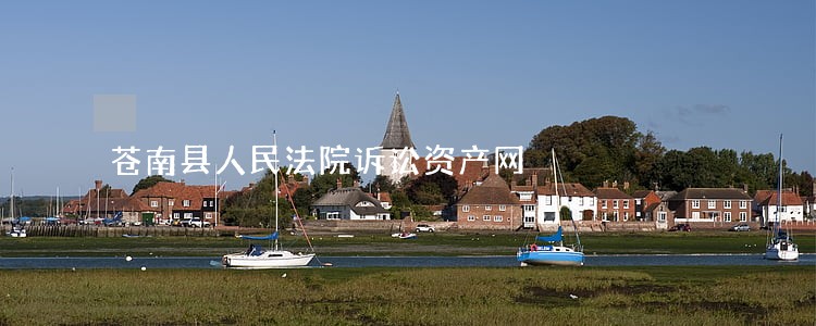 苍南县人民法院诉讼资产网 苍南县人民法院诉讼资产网