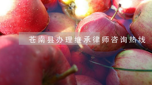 苍南县办理继承律师咨询热线 苍南县办理继承律师咨询热线
