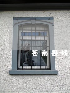 苍南县找劳动工伤律师免费咨询