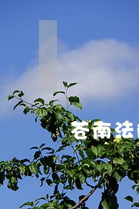 苍南法院拍卖车 苍南法院拍卖车