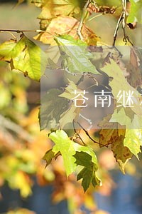 苍南继承纠纷律师怎么处理 苍南继承纠纷律师怎么处理