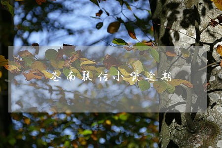 苍南联信小贷逾期 苍南联信小贷逾期