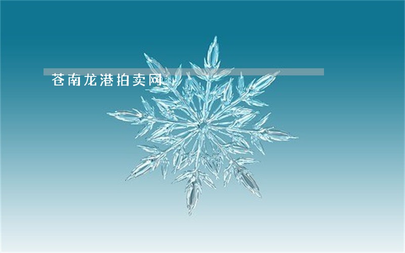 苍南龙港拍卖网 苍南龙港拍卖网