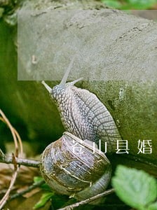 苍山县婚姻律师网站