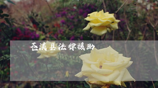 苍溪县法律援助