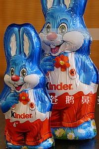 苍鹅鼻炎片违法 苍鹅鼻炎片违法
