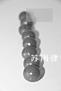 苏刚律师 苏刚律师