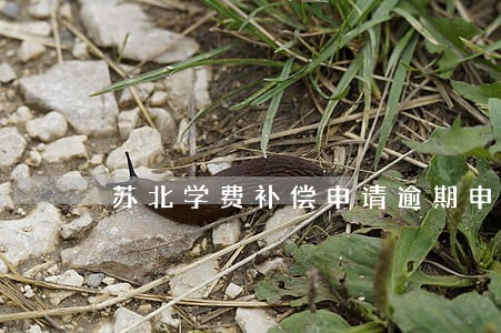 苏北学费补偿申请逾期申请 苏北学费补偿申请逾期申请