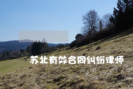 苏北有效合同纠纷律师