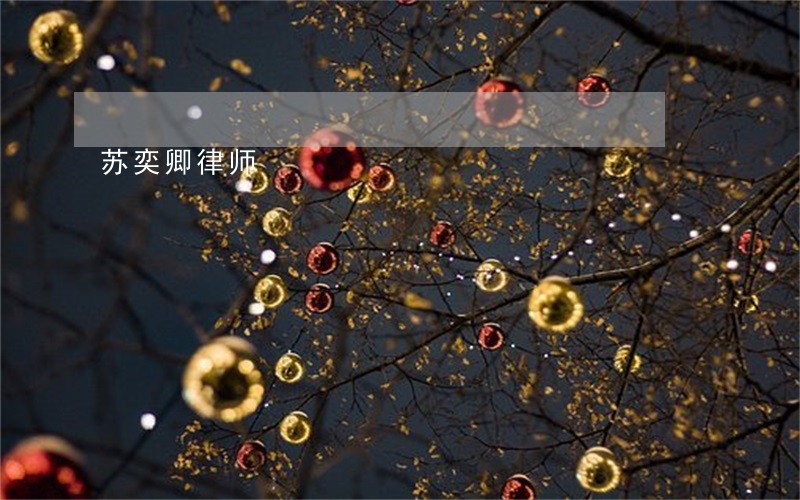 苏奕卿律师