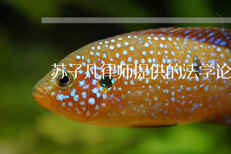 苏子凡律师提供的法学论文 苏子凡律师提供的法学论文