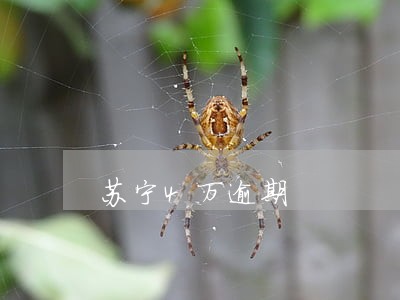 苏宁4万逾期 苏宁4万逾期
