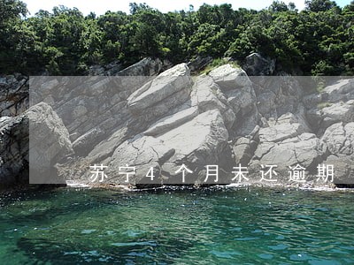 苏宁4个月未还逾期 苏宁4个月未还逾期