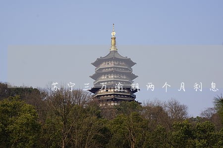 苏宁三万逾期两个月利息 苏宁三万逾期两个月利息