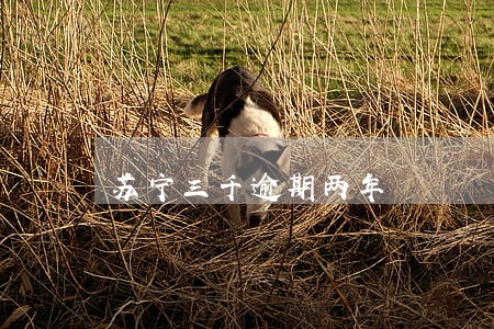 苏宁三千逾期两年 苏宁三千逾期两年