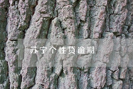 苏宁个性贷逾期 苏宁个性贷逾期