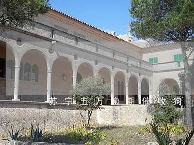 苏宁五万逾期催收狗 苏宁五万逾期催收狗