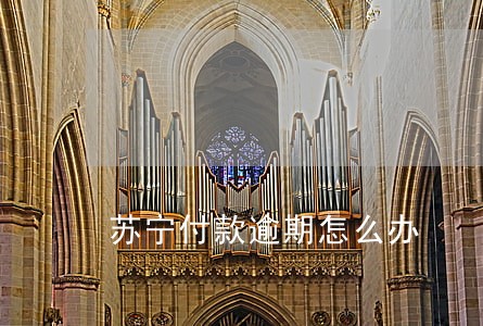 苏宁付款逾期怎么办 苏宁付款逾期怎么办
