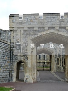 苏宁任性付不逾期上征信吗