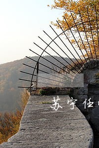 苏宁任性付几十块逾期两个月 苏宁任性付几十块逾期两个月