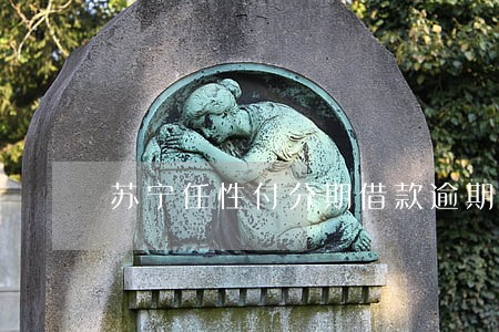 苏宁任性付分期借款逾期了 苏宁任性付分期借款逾期了