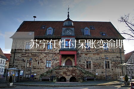 苏宁任性付呆账变逾期