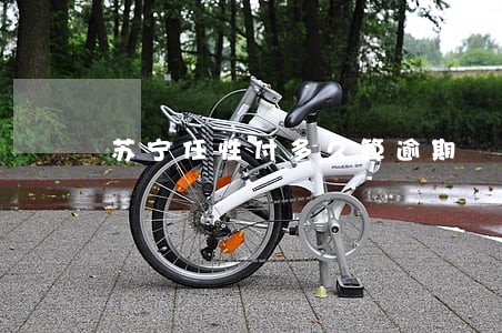 苏宁任性付多久算逾期 苏宁任性付多久算逾期