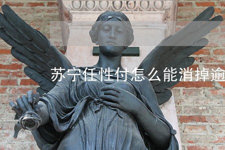 苏宁任性付怎么能消掉逾期记录 苏宁任性付怎么能消掉逾期记录