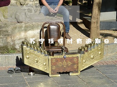 苏宁任性付有逾期8年的吗 苏宁任性付有逾期8年的吗