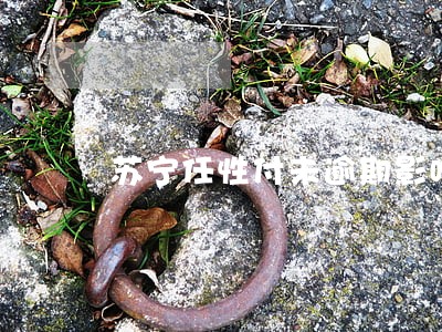 苏宁任性付未逾期影响房贷吗 苏宁任性付未逾期影响房贷吗