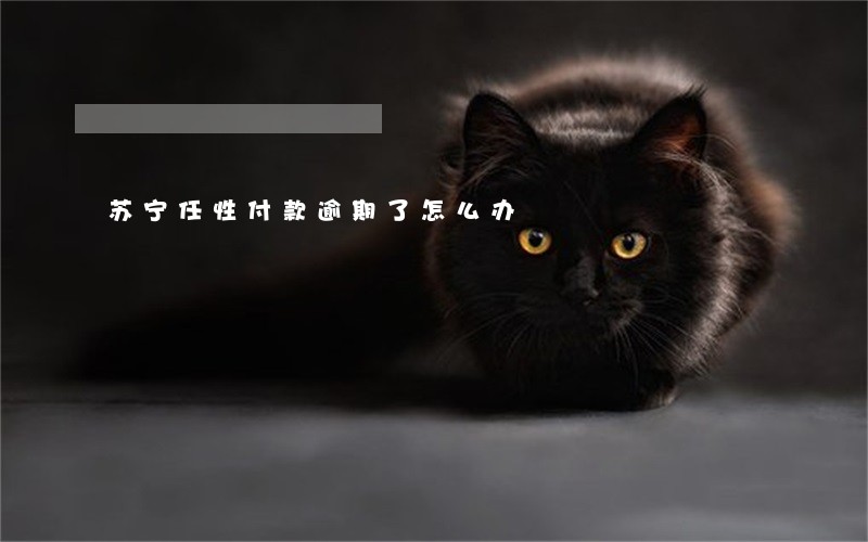苏宁任性付款逾期了怎么办 苏宁任性付款逾期了怎么办