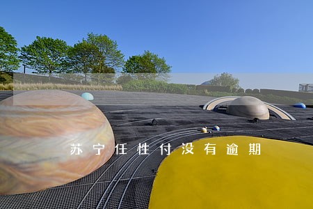 苏宁任性付没有逾期 苏宁任性付没有逾期