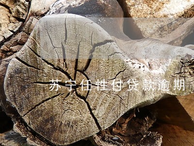 苏宁任性付贷款逾期 苏宁任性付贷款逾期