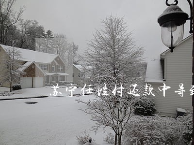 苏宁任性付还款中导致逾期 苏宁任性付还款中导致逾期