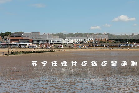 苏宁任性付还钱还是逾期 苏宁任性付还钱还是逾期