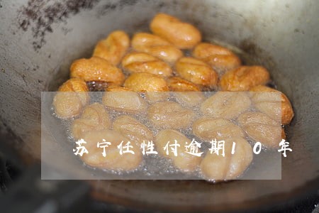 苏宁任性付逾期10年 苏宁任性付逾期10年