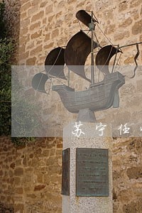 苏宁任性付逾期18天 苏宁任性付逾期18天