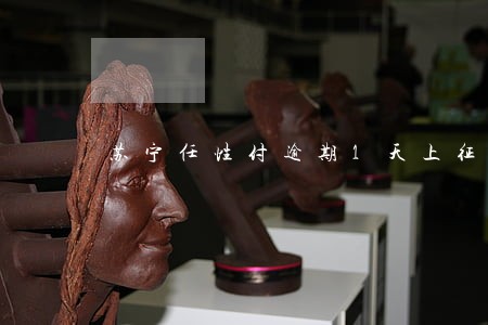 苏宁任性付逾期1天上征信吗 苏宁任性付逾期1天上征信吗
