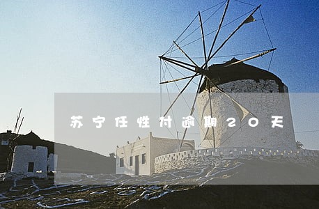 苏宁任性付逾期20天 苏宁任性付逾期20天