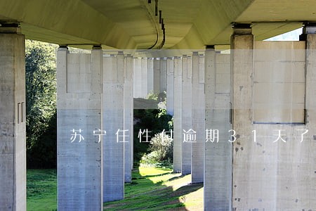 苏宁任性付逾期31天了 苏宁任性付逾期31天了