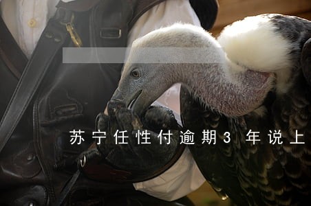 苏宁任性付逾期3年说上门 苏宁任性付逾期3年说上门
