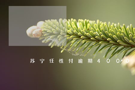 苏宁任性付逾期4000