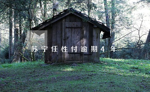 苏宁任性付逾期4年