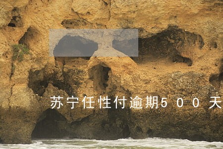 苏宁任性付逾期500天6 苏宁任性付逾期500天6
