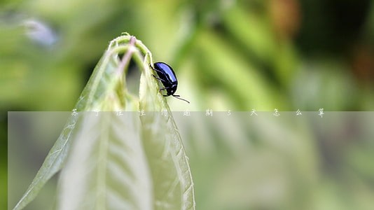 苏宁任性付逾期5天怎么算 苏宁任性付逾期5天怎么算