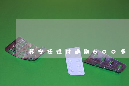苏宁任性付逾期600多天
