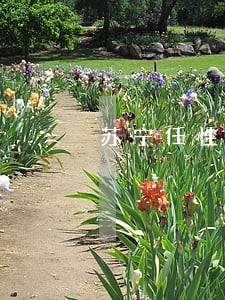 苏宁任性付逾期90天 苏宁任性付逾期90天
