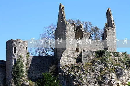 苏宁任性付逾期一个半月催收 苏宁任性付逾期一个半月催收