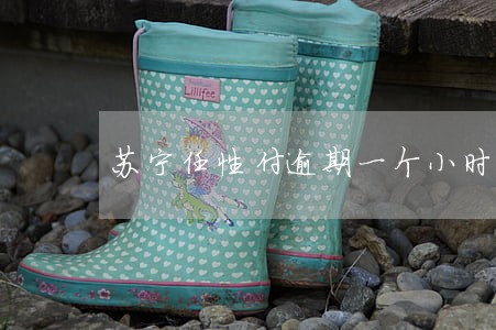 苏宁任性付逾期一个小时